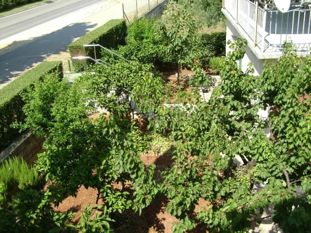 זאדאר Apartmani Tome מראה חיצוני תמונה