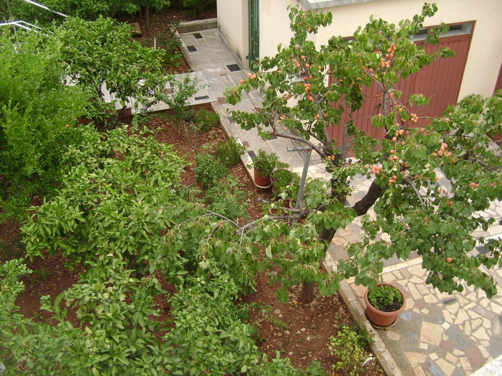 זאדאר Apartmani Tome מראה חיצוני תמונה